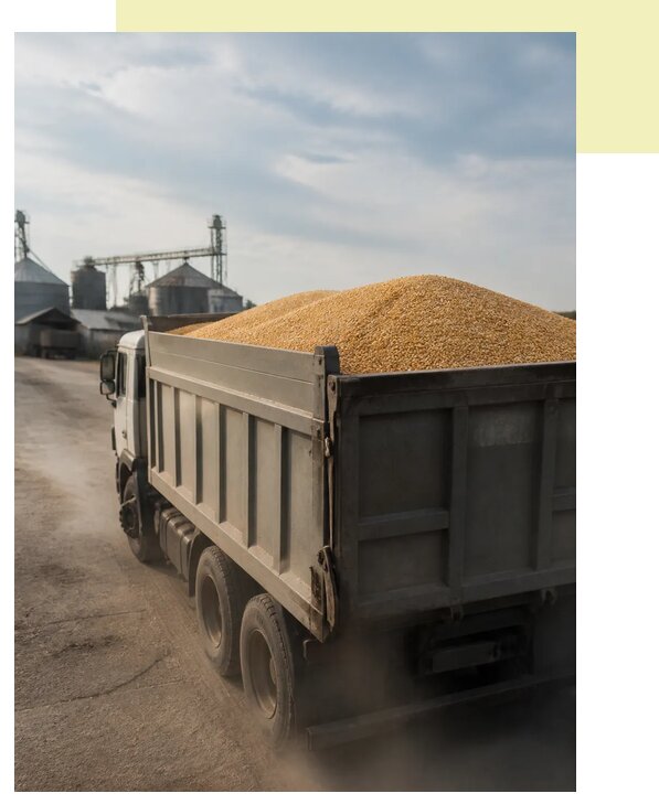 Перевозка сельхозпродукции навалом в Кызыл по цене от 3111 р. | Агросервис-Кзл